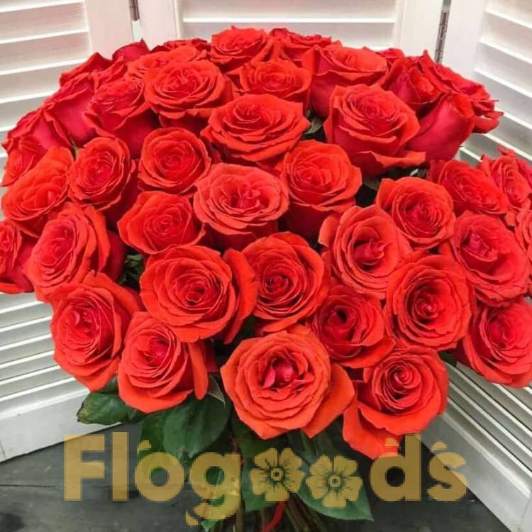 51 красная роза за 19 508 руб.